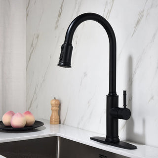 Kitchen Faucet with Pull Out Spraye Dweva