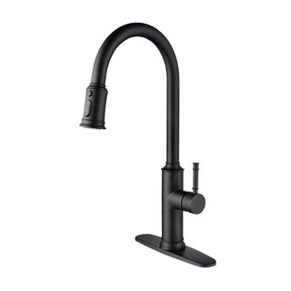 Kitchen Faucet with Pull Out Spraye Dweva