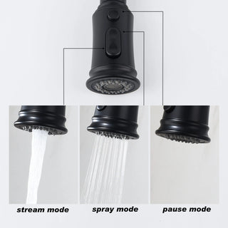 Kitchen Faucet with Pull Out Spraye Dweva