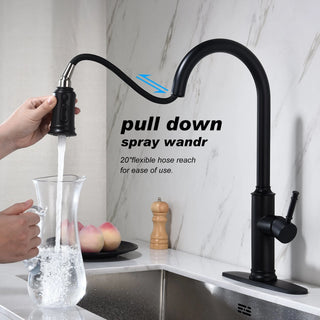 Kitchen Faucet with Pull Out Spraye Dweva