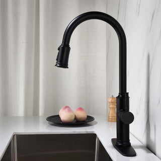 Kitchen Faucet with Pull Out Spraye Dweva