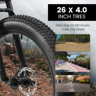 A26309 26 inch Mountain Bike,Full-Suspension 21 Speeds Drivetrain with Disc-Brake MTB Bicycle, 26*4" Fat tire Bike for Men Dweva