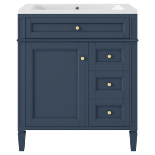 30'' Bathroom Vanity with Top Sink, Modern Bathroom Storage Cabinet with 2 Drawers and a Tip-out Drawer, Single Sink Bathroom Vanity (Same as SW000122AAC-1) Dweva