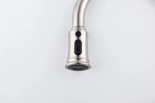 Kitchen Faucet with Pull Out Spraye Dweva