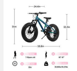 V20235 20 Inch Fat Tire Bike Adult 7 Speed Mountain Bike, Dual Disc Brakes, High Carbon Steel Frame, Front Suspension, Mountain Buggy, City Commuter City Bike, Fat Tire Bike Dweva