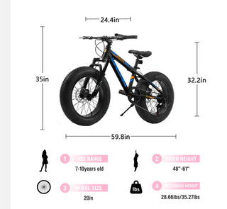 V20235 20 Inch Fat Tire Bike Adult 7 Speed Mountain Bike, Dual Disc Brakes, High Carbon Steel Frame, Front Suspension, Mountain Buggy, City Commuter City Bike, Fat Tire Bike Dweva