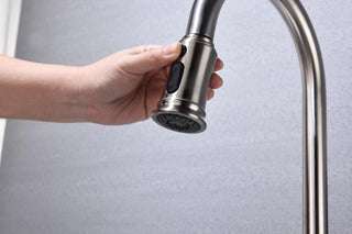 Kitchen Faucet with Pull Out Spraye Dweva