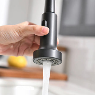 Purifier Kitchen Faucet Drinking Water Faucet With Roll Up Dish Drying Rack, Pull Down Water Filter Kitchen Sink Faucets (Matte Black) Dweva