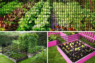 36inch x 50ft Black Vinyl Coated Hardware Cloth 2" X 3" 16Ga Welded Wire Mesh fence, PVC Coated Welded Chicken Wire Fencing, Metal Garden Plant Fencing, for Chicken Coop and Home Improvement Dweva
