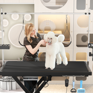 Update electric pet grooming table, 110V/220V professional groomer recommend super Deluxe electric pet grooming table, height adjust from 8 up to 36inch BLACK COLOR Dweva