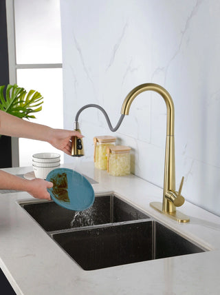 Single Handle Stainless Steel Kitchen Sink Faucet with Pull Down Sprayer Dweva