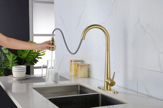 Single Handle Stainless Steel Kitchen Sink Faucet with Pull Down Sprayer Dweva