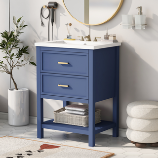 24'' Bathroom Vanity with Top Sink, Modern Bathroom Storage Cabinet with 2 Drawers, Single Sink Bathroom Vanity Dweva
