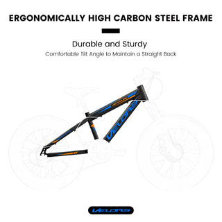 V20235 20 Inch Fat Tire Bike Adult 7 Speed Mountain Bike, Dual Disc Brakes, High Carbon Steel Frame, Front Suspension, Mountain Buggy, City Commuter City Bike, Fat Tire Bike Dweva
