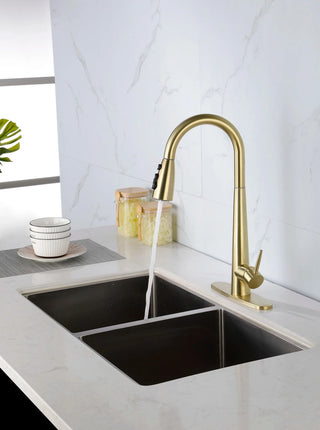 Single Handle Stainless Steel Kitchen Sink Faucet with Pull Down Sprayer Dweva
