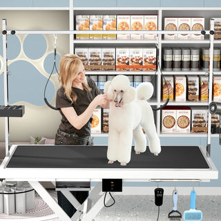 Update electric pet grooming table, 110V/220V professional groomer recommend super Deluxe electric pet grooming table, height adjust from 8 up to 36inch WHITE COLOR Dweva