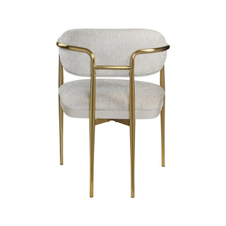 Zayn Beige Chenille & Gold Arm Chair (Set of 2) Dweva