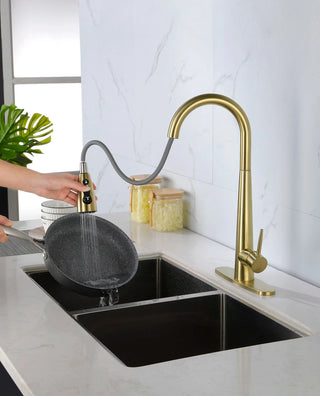 Single Handle Stainless Steel Kitchen Sink Faucet with Pull Down Sprayer Dweva