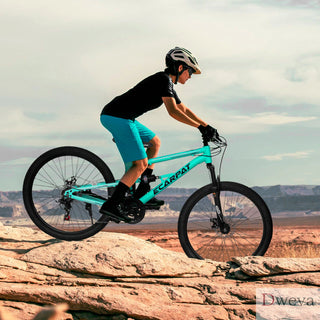 A26207 26 Inch Steel Frame Shock Fork Plus Shock Absorber 21-speed Unisex Mountain Bike Dweva