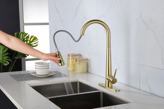 Single Handle Stainless Steel Kitchen Sink Faucet with Pull Down Sprayer Dweva