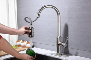 Kitchen Faucet with Pull Down Sprayer Dweva