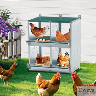 4 Compartment Chicken Nesting Boxes, Metal Nesting Boxes Wall Mount Chicken Egg Laying Box for Different Chicken Breeds Dweva