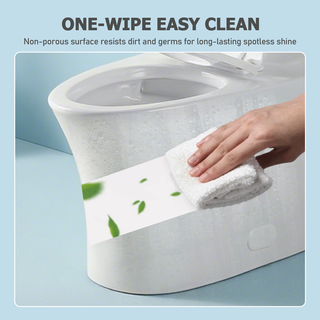 1.1/1.60 GPF Dual-Flush One Piece Toilet, Water-Saving Elongated Comfort Height Floor Mounted, Soft Closing Seat, 1000 Gram Map Flushing Score Toilet, Gloss White 24T02-GW Dweva