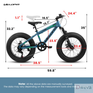 V20235 20 Inch Fat Tire Bike Adult 7 Speed Mountain Bike, Dual Disc Brakes, High Carbon Steel Frame, Front Suspension, Mountain Buggy, City Commuter City Bike, Fat Tire Bike Dweva