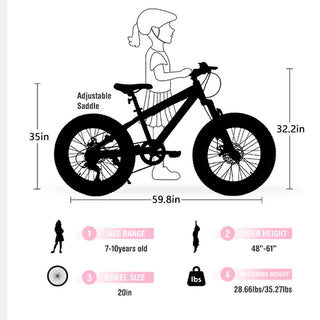V20235 20 Inch Fat Tire Bike Adult 7 Speed Mountain Bike, Dual Disc Brakes, High Carbon Steel Frame, Front Suspension, Mountain Buggy, City Commuter City Bike, Fat Tire Bike Dweva