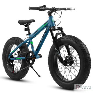 V20235 20 Inch Fat Tire Bike Adult 7 Speed Mountain Bike, Dual Disc Brakes, High Carbon Steel Frame, Front Suspension, Mountain Buggy, City Commuter City Bike, Fat Tire Bike Dweva