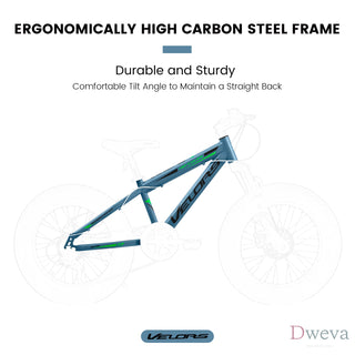 V20235 20 Inch Fat Tire Bike Adult 7 Speed Mountain Bike, Dual Disc Brakes, High Carbon Steel Frame, Front Suspension, Mountain Buggy, City Commuter City Bike, Fat Tire Bike Dweva