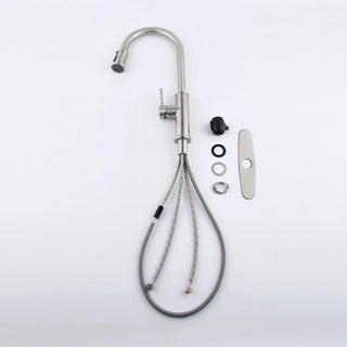 Kitchen Faucet with Pull Out Spraye Dweva