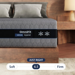 OmniFit Hybrid Mattress Dweva
