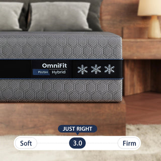 OmniFit Hybrid Mattress Dweva