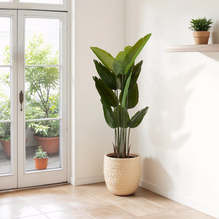 Artificial Bird of Paradise Plant, 5.2ft Tall Faux Tropical Palm Tree in Pot for Indoor or Outdoor Home, Office, or Garden Decoration, 2pcs/set Dweva