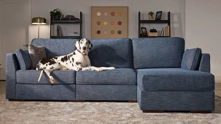 Lovesac Sectional