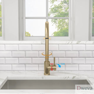 Kitchen Sink Faucet with Single Handles, Gold Dweva