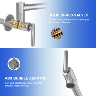 Pot Filler Faucet - Wall Mount Kitchen Sink Faucet Folding Stretchable with Single Hole Two Handles, Brushed Nickel Dweva