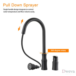 Kitchen Sink Faucet with Separate Handle, Matte Black Dweva
