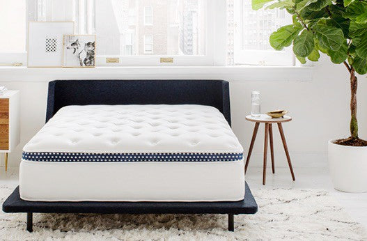 WinkBed Mattress