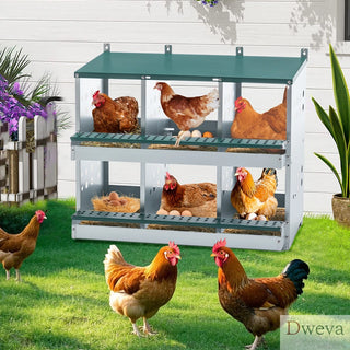 6 Compartments Chicken Nesting Box for Laying Eggs, Roll Away Chicken Laying Boxes, Green Dweva