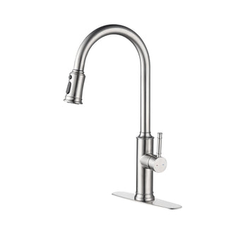 Kitchen Faucet with Pull Down Sprayer Dweva