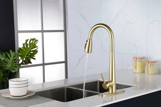 Single Handle Stainless Steel Kitchen Sink Faucet with Pull Down Sprayer Dweva