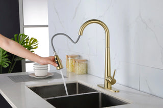 Single Handle Stainless Steel Kitchen Sink Faucet with Pull Down Sprayer Dweva