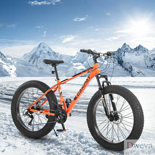 S26109 Elecony 26 Inch Fat Tire Bike Adult/Youth Full Shimano 21 Speed Mountain Bike, Dual Disc Brake, High-Carbon Steel Frame, Front Suspension, Mountain Trail Bike, Urban Commuter City Bicycle Dweva