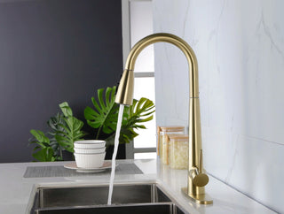 Single Handle Stainless Steel Kitchen Sink Faucet with Pull Down Sprayer Dweva