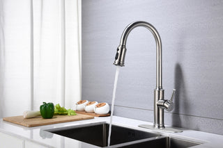 Kitchen Faucet with Pull Down Sprayer Dweva