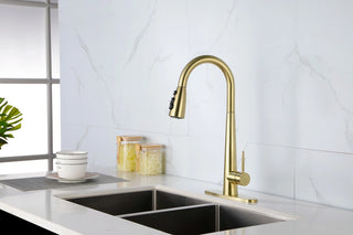 Single Handle Stainless Steel Kitchen Sink Faucet with Pull Down Sprayer Dweva