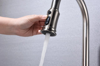Kitchen Faucet with Pull Out Spraye Dweva