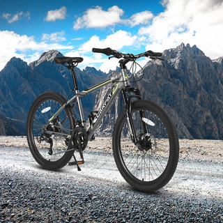 S24102 24 Inch Mountain Bike Boys Girls, Steel Frame, Shimano 21 Speed Mountain Bicycle with Daul Disc Brakes and Front Suspension MTB Dweva